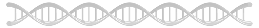DNA-Helix-Zodiac-50-bw