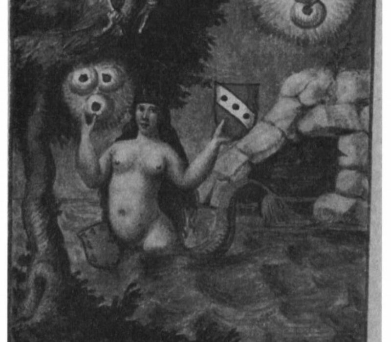 Meluzina alchimică, de Marcus Eugenius Bonacina