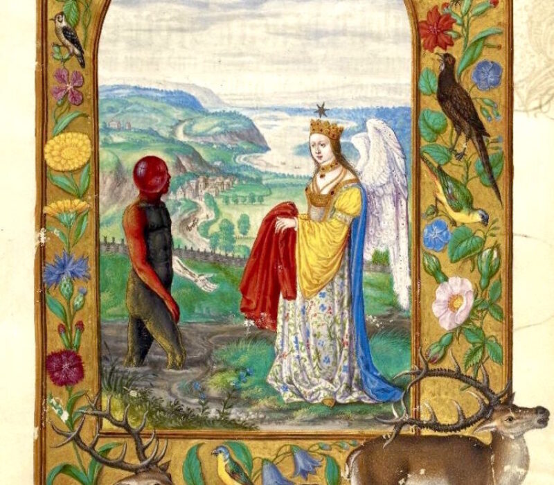 Plate-8-The-Angel-and-the-Dark-Man-in-the-Swamp-Splendor-Solis