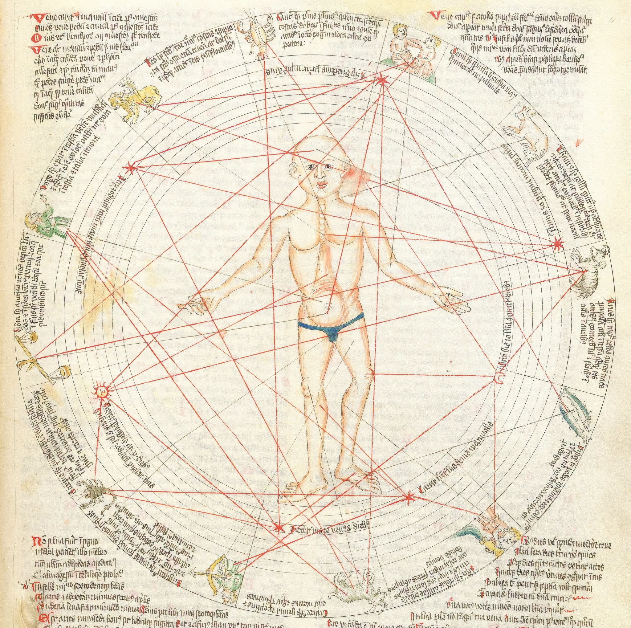 Astrograma - Harta natala - Zodiac12